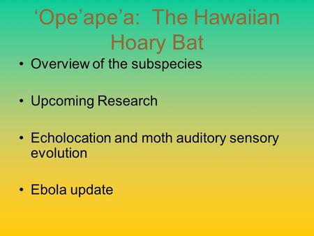 ‘Ope’ape’a: The Hawaiian Hoary Bat Overview of the subspecies Upcoming Research Echolocation and moth auditory sensory evolution Ebola update.