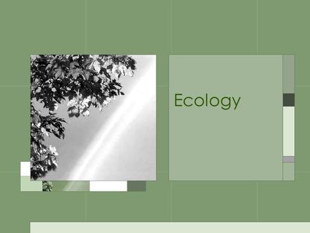 Ecology. Scientific study of the interactions between organisms and their environment.