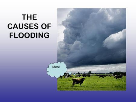 THE CAUSES OF FLOODING Moo!. Causes of flooding memory game- 1 minute to remember Heavy rain rainfall Snow melt Antecedent rainfall (it has rained before.