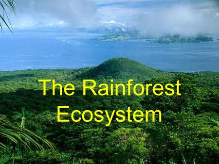 The Rainforest Ecosystem. What is a Rainforest? a tropical woodland with an annual rainfall of at least 100 inches (254 centimeters) and marked by lofty.