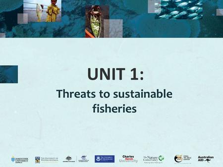 UNIT 1: Threats to sustainable fisheries. 2 Internal threats Activity 1.1: List three (3) potential threats to fisheries. INTERNAL THREATS Overfishing.