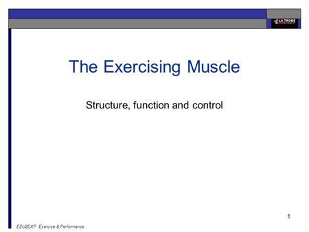 EDU2EXP Exercise & Performance 1 The Exercising Muscle Structure, function and control.