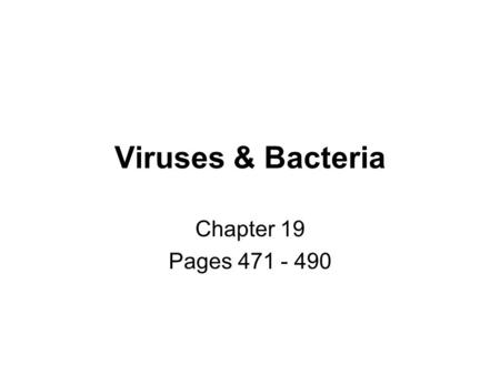 Viruses & Bacteria Chapter 19 Pages 471 - 490.