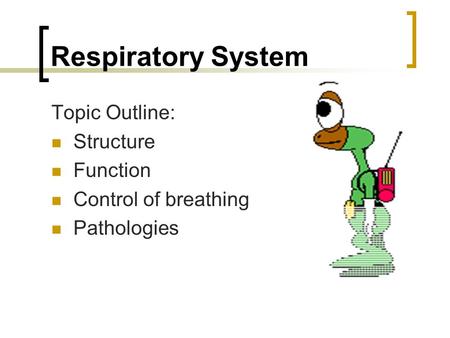 Respiratory System Topic Outline: Structure Function Control of breathing Pathologies.