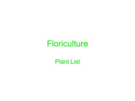 Floriculture Plant List. 1. Achillea filipendulina - Yarrow.