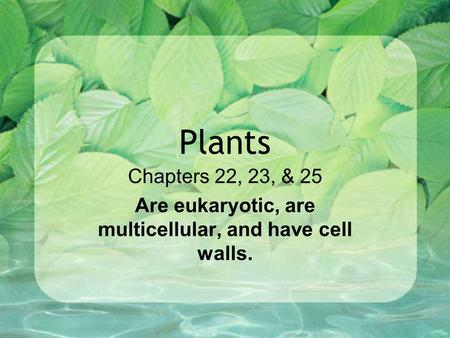 Chapters 22, 23, & 25 Are eukaryotic, are multicellular, and have cell walls. Plants.