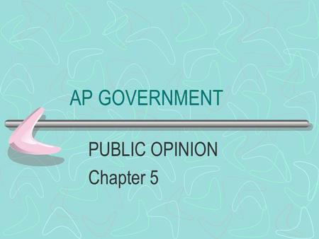 AP GOVERNMENT PUBLIC OPINION Chapter 5 PUBLIC OPINION The aggregate of individual attitudes or beliefs by some portion of the adult population No ONE.