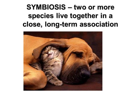 SYMBIOSIS – two or more species live together in a close, long-term association 1.