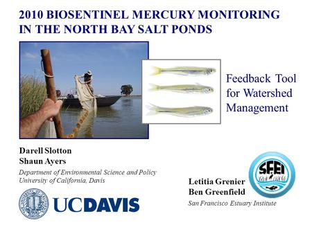 2010 BIOSENTINEL MERCURY MONITORING IN THE NORTH BAY SALT PONDS Darell Slotton Shaun Ayers Department of Environmental Science and Policy University of.