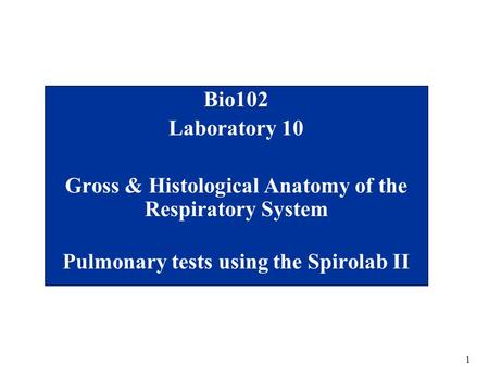 1 Bio102 Laboratory 10 Gross & Histological Anatomy of the Respiratory System Pulmonary tests using the Spirolab II.