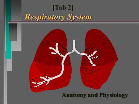 Anatomy and Physiology Respiratory System [Tab 2] Respiratory System.