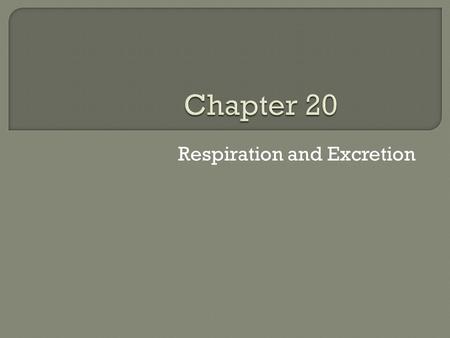 Respiration and Excretion.  Breathing is the movement of the chest that brings oxygen into the lungs and removes waste gases (carbon dioxide)  Oxygen.
