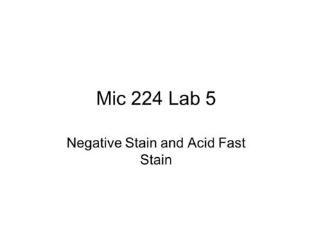 Negative Stain and Acid Fast Stain