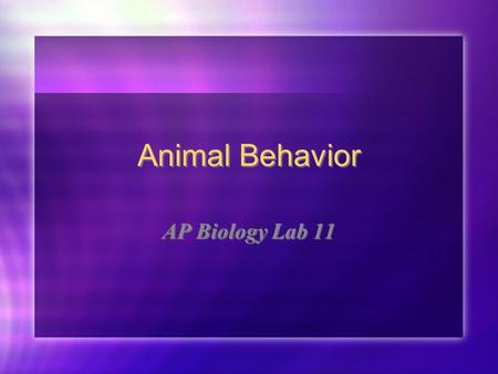Animal Behavior AP Biology Lab 11.