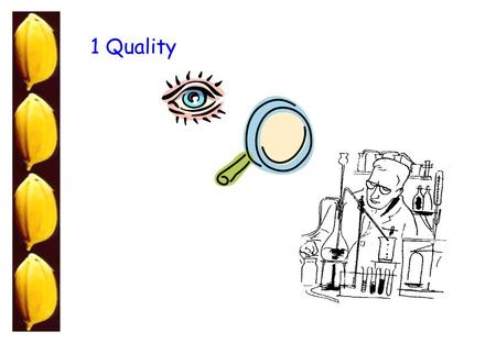 1 Quality. Program Evaluation of Physical Quality Understanding bits of Cooking Quality Discussion and questions 1 2 3 Eyes vs Instruments Associating.