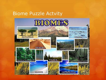 Biome Puzzle Actvity. Instructions… -Grab a puzzle piece -Find the rest of your group members -Build your puzzle and read the facts.