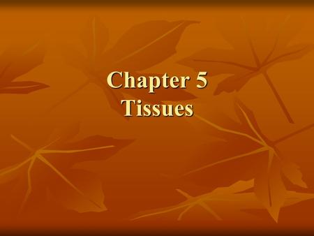 Chapter 5 Tissues. How is it all Connected? Cells = basic unit of life Cells = basic unit of life Cells come together to form TISSUES Cells come together.