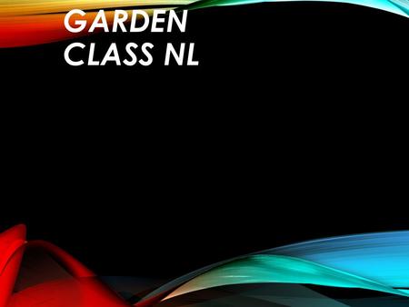 VEGETABLE GARDEN CLASS NL. OUR IDEA We think it would be a very innovative idea to build a vegetable garden in the school grounds. People and teachers.