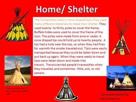Home/ Shelter The Comanches lived in cone shaped tipis.They used many different materials to make their shelter. They used twenty  to thirty poles to cover.