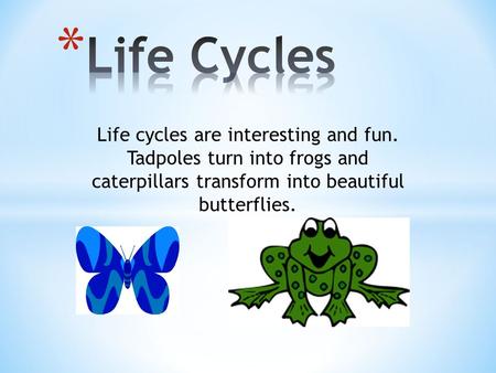 Life cycles are interesting and fun. Tadpoles turn into frogs and caterpillars transform into beautiful butterflies.