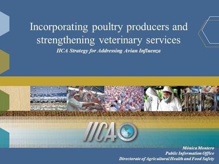 Incorporating poultry producers and strengthening veterinary services IICA Strategy for Addressing Avian Influenza Mónica Montero Public Information Office.