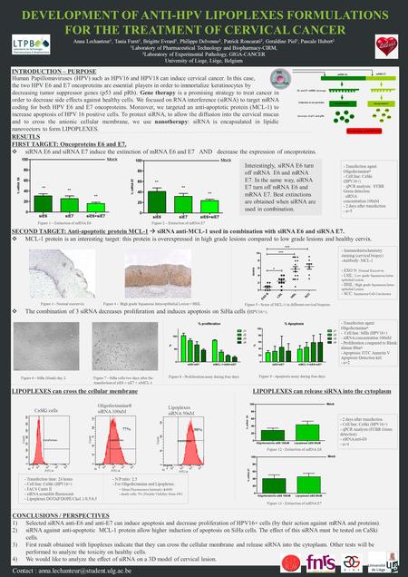 RESULTS 1) Oligofectamine ® allows effective transfection of siRNA scramble 2) siE6 and siE7 decrease mRNA encoding for both oncoproteins 3) siE7 and association.