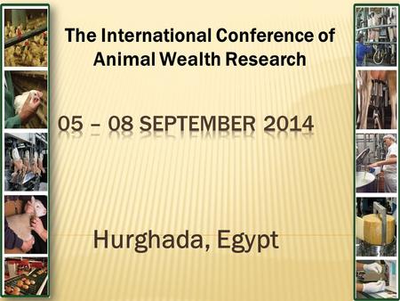 Hurghada, Egypt The International Conference of Animal Wealth Research.