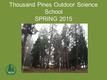 Thousand Pines Outdoor Science School SPRING 2015