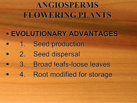 ANGIOSPERMS FLOWERING PLANTS  EVOLUTIONARY ADVANTAGES  1.Seed production  2.Seed dispersal  3.Broad leafs-loose leaves  4.Root modified for storage.