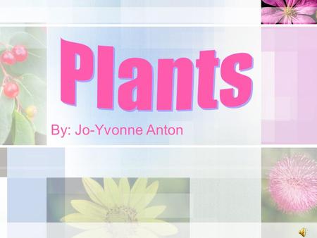 By: Jo-Yvonne Anton Overview This is a science lesson that will help students understand the five parts of a plant and their functions. Students will.