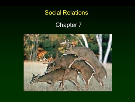 1 Social Relations Chapter 7. 2 Introduction Behavioral Ecology: Interactions between organisms and the environment mediated by behavior. Sociobiology: