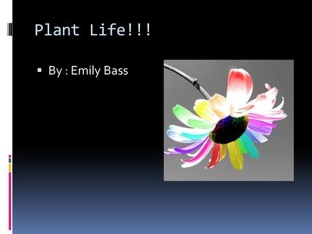 Plant Life!!!  By : Emily Bass. Photosynthesis Photosynthesis- is the process of converting light energy to chemical energy and storing it in the bonds.