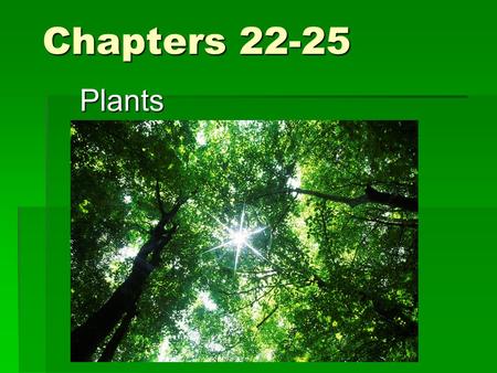 Chapters 22-25 Plants. Characteristics  Eukaryotes  Multicellular  Cell walls of cellulose  Carry out photosynthesis using pigments chlorophyll a.