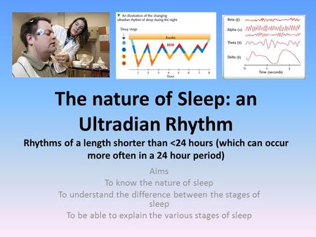The nature of Sleep: an Ultradian Rhythm Rhythms of a length shorter than 