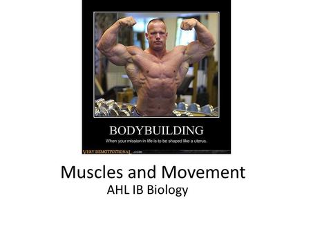 Muscles and Movement AHL IB Biology.