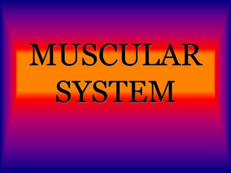MUSCULAR SYSTEM. FUNCTIONS: BODY MOVEMENT PUMP BLOOD THROUGHOUT YOUR BODY MOVES FOOD THROUGH THE DIGESTIVE SYSTEM CONTROLS THE MOVEMENT OF AIR IN AND.