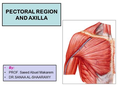 PECTORAL REGION AND AXILLA By: PROF. Saeed Abuel Makarem DR.SANAA AL-SHAARAWY.