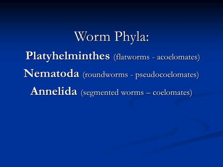 Worm Phyla: Nematoda (roundworms - pseudocoelomates)