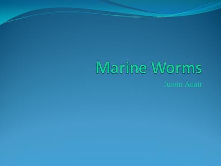Justin Adair. Any worm who lives in a marine environment is considered as marine worm. Marine worms have special tentacles used for taking in oxygen and.