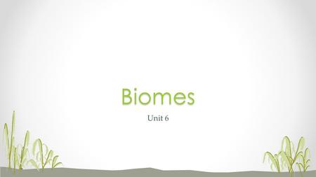 Unit 6Biomes. The more diverse an ecosystem is, the more stable it is. Big Idea: