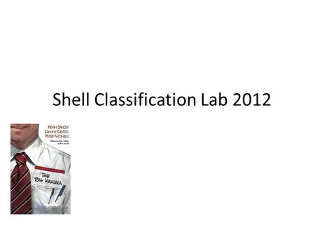 Shell Classification Lab 2012. I. TITLE: Shell classification lab II. PURPOSE : to classify and prepare a “key” that allows for identification of.