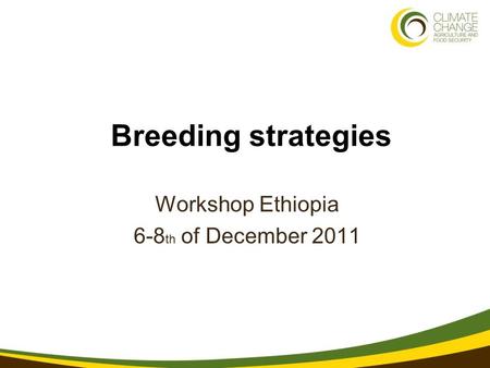 1 3/21/11 Breeding strategies Workshop Ethiopia 6-8 th of December 2011.