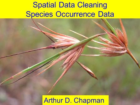 June 2012 Spatial Data Cleaning Species Occurrence Data Arthur D. Chapman.