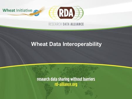 Wheat Data Interoperability. 2  Endorsed in March 2014  Focus:  Improve/reach semantic interoperability of Wheat data  The WG will focus first on.