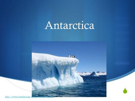  Antarctica