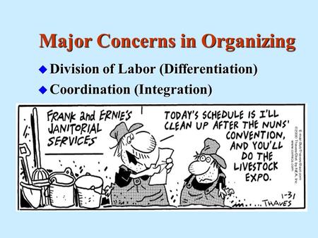 Major Concerns in Organizing u Division of Labor (Differentiation) u Coordination (Integration)