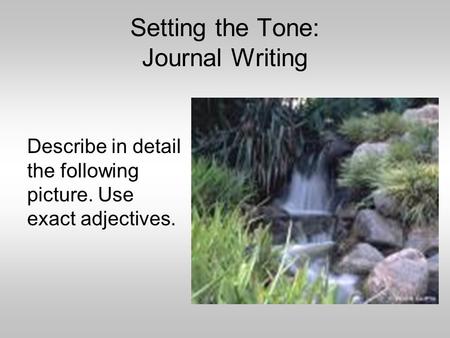 Setting the Tone: Journal Writing Describe in detail the following picture. Use exact adjectives.