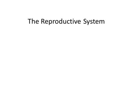 The Reproductive System. The female reproductive system produces female gametes (eggs), provides a receptacle for male gametes (sperm), and provides structures.