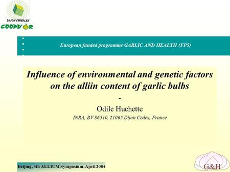 Beijing, 4th ALLIUM Symposium, April 2004 G&H Influence of environmental and genetic factors on the alliin content of garlic bulbs - Odile Huchette INRA,