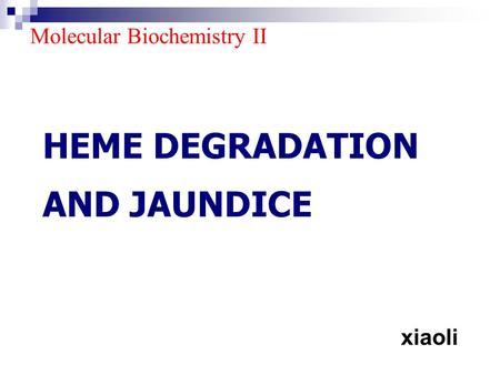 HEME DEGRADATION AND JAUNDICE xiaoli Molecular Biochemistry II.